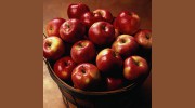 Apple Printing