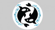Orca Printing