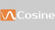 Cosine Additive